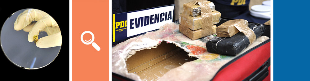 Investigación Criminal